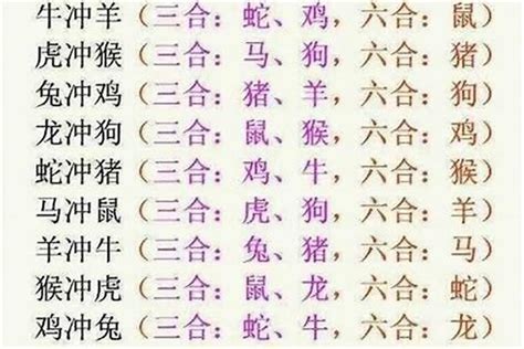 十二生肖六合|十二生肖相冲、三合、六合